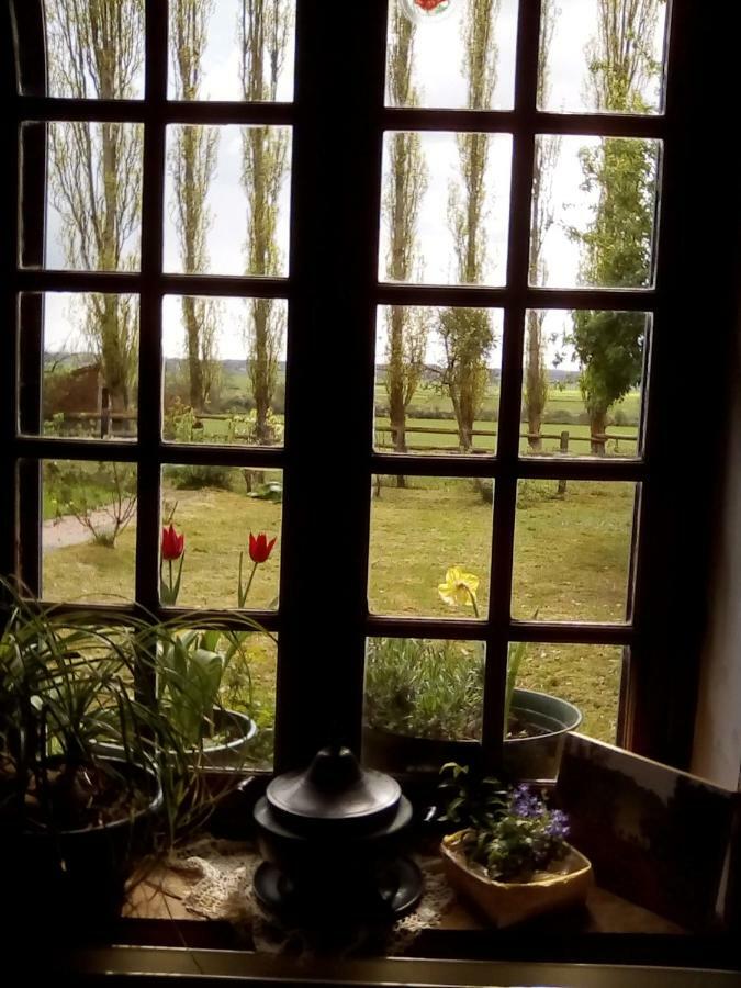 Bed and Breakfast La Ferme Des Vignes Hotot-en-Auge Zewnętrze zdjęcie