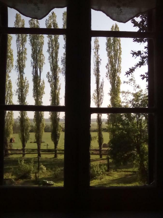 Bed and Breakfast La Ferme Des Vignes Hotot-en-Auge Zewnętrze zdjęcie