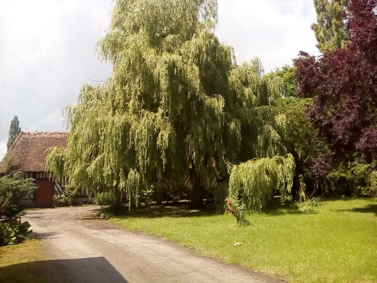 Bed and Breakfast La Ferme Des Vignes Hotot-en-Auge Zewnętrze zdjęcie